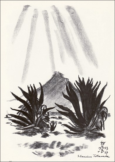 A Popocatepetl agavk kzt