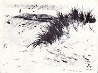 Belga homokbuckák